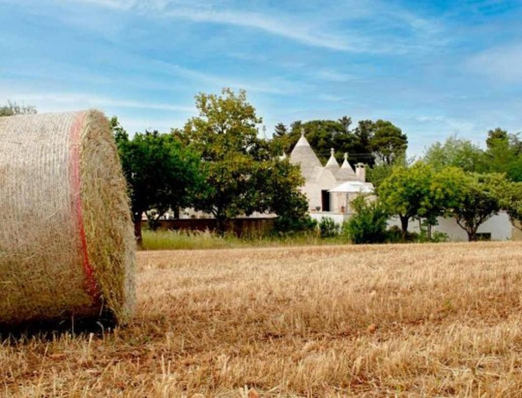 فيلا Trulli Delle Rose مارتينا فرانكا المظهر الخارجي الصورة